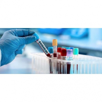 Laboratory