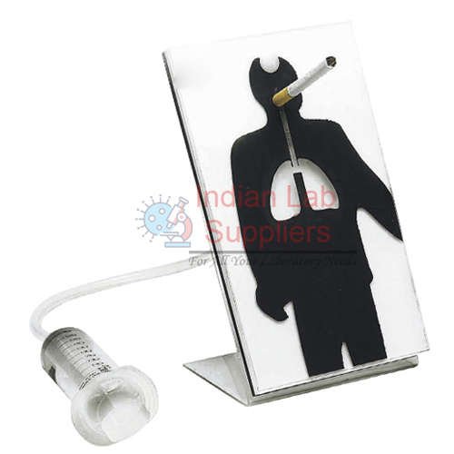 Effects of Smoking Model