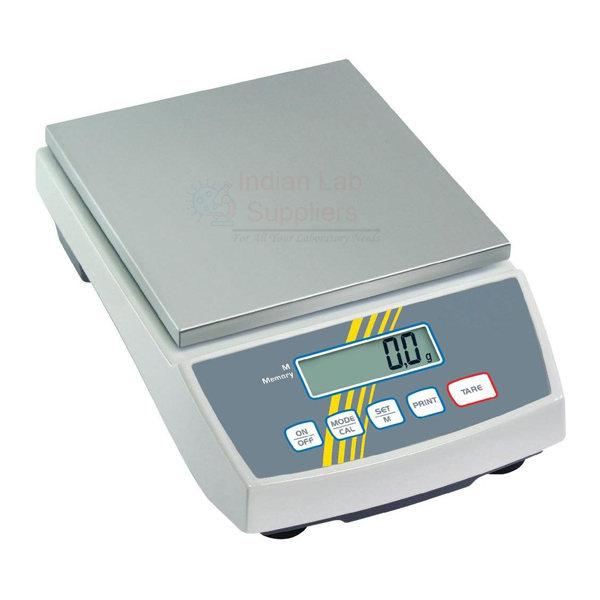 Precision Digital Scale