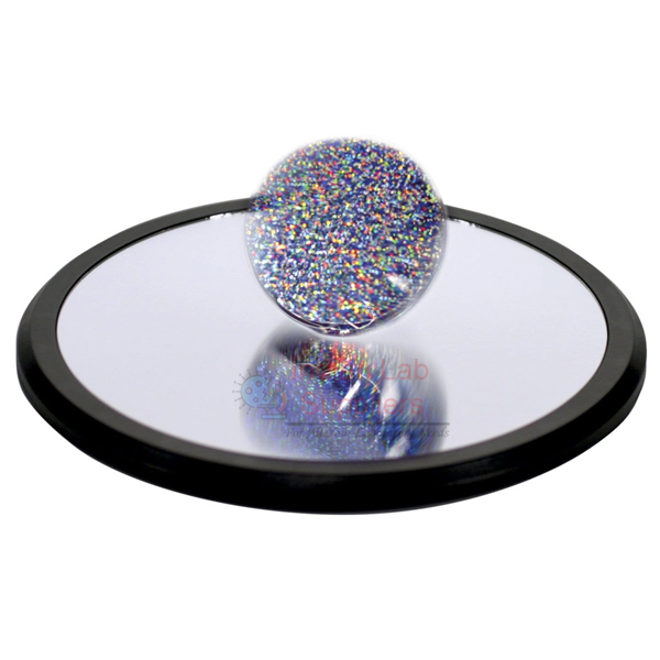 Euler's Disk
