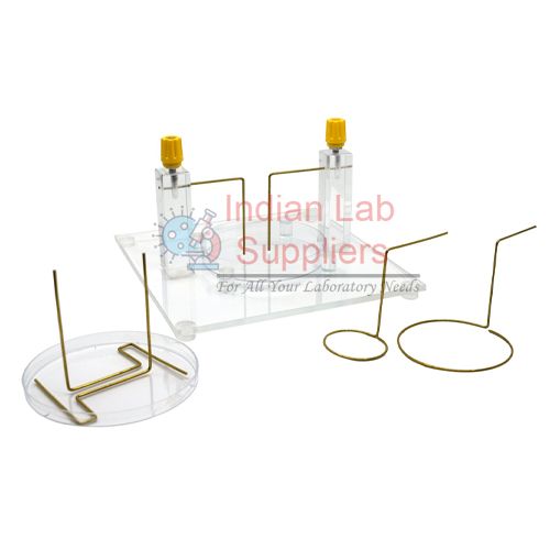 Electric Fields Apparatus