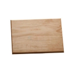 Dissecting Board