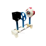 Human Eye Kit Model (Functional)