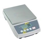 Precision Digital Scale