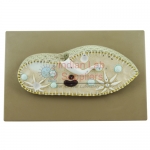 Paramecium Model