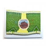 Dicot Leaf Model